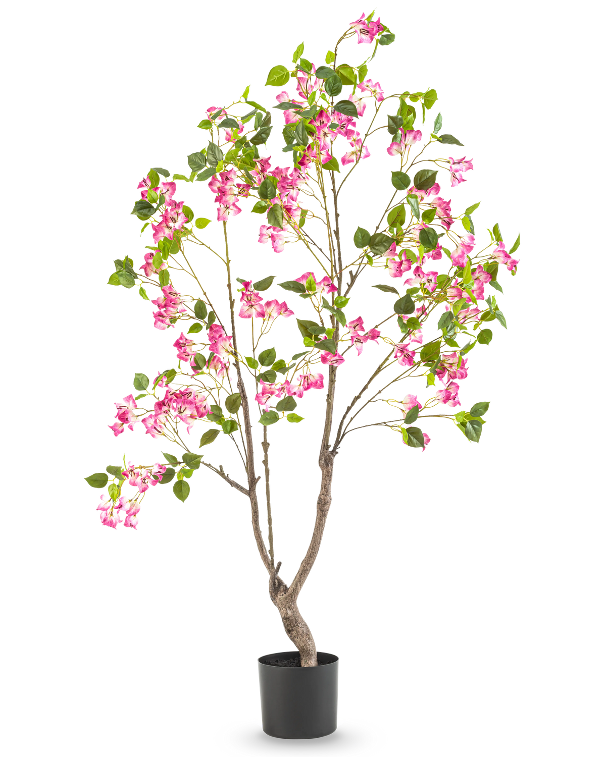 Die künstliche Bougainvillea 150 cm ist eine hohe Kunstpflanze mit mehreren Zweigen, grünen Blättern und leuchtend rosa Blüten in einem schwarzen Topf vor einem schlichten weißen Hintergrund.