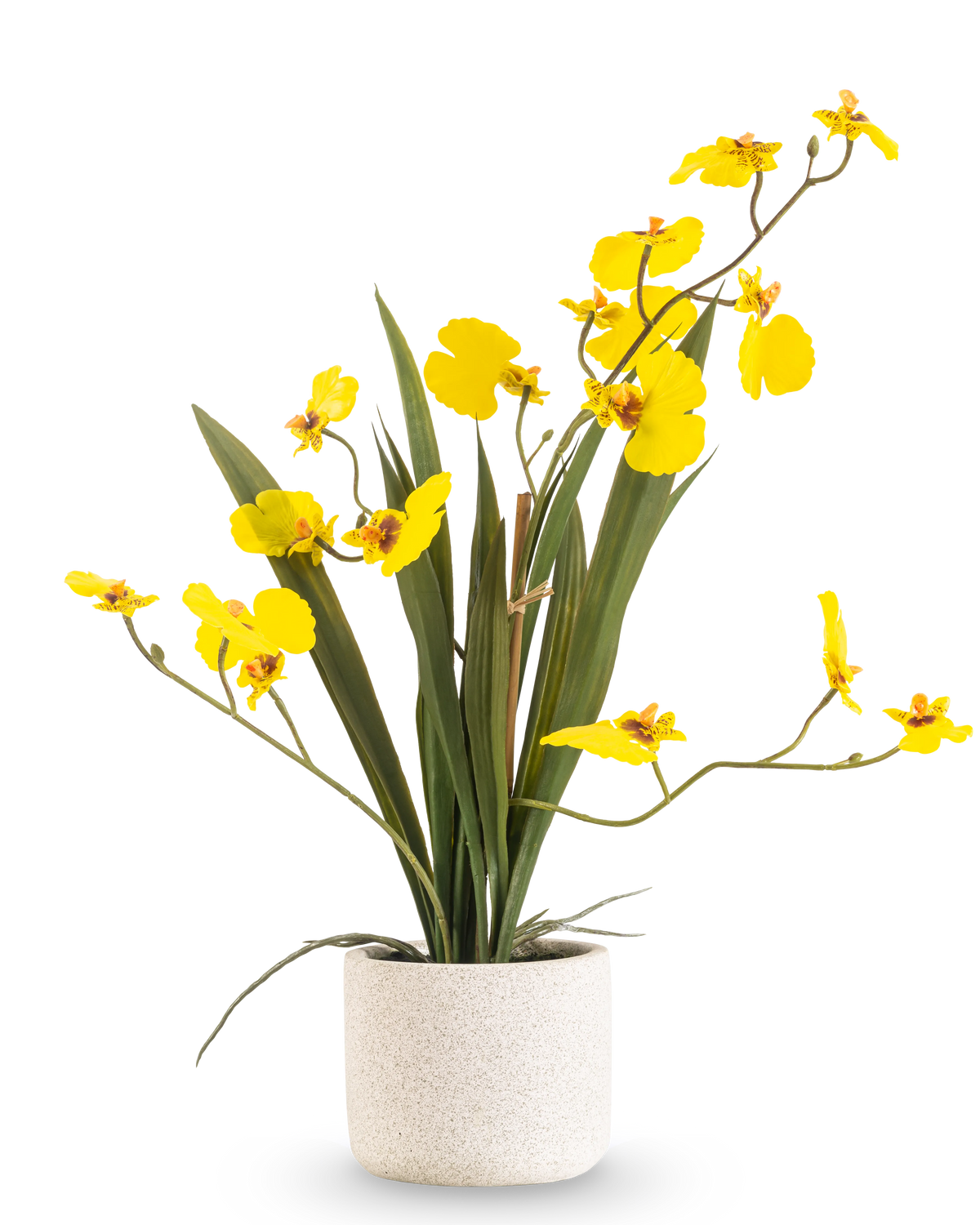 Das künstliche Oncidium Real Touch 48 cm gelb hat lange, schlanke Blätter und lange Stiele mit leuchtend gelben Orchideen in einem weißen Topf vor einem schlichten weißen Hintergrund.