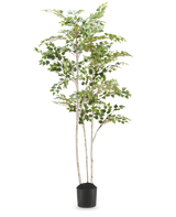 Die künstliche Birke „Silber“ 180 cm ist eine hohe künstliche Birke mit bunten Blättern in einem schlichten schwarzen Topf vor einem schlichten weißen Hintergrund.