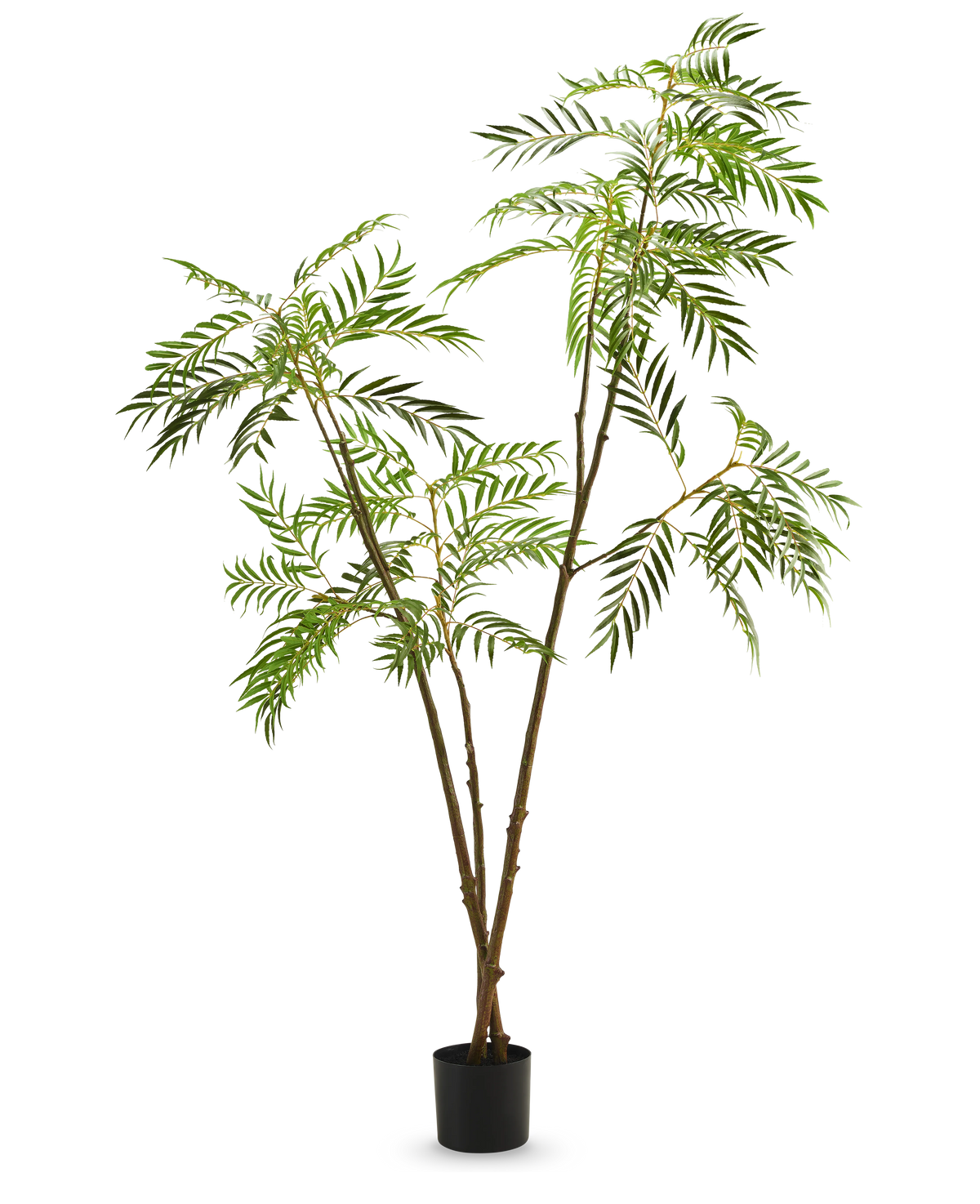 Die Kunstpflanze Mahonia 210 cm ist eine hohe Kunstpflanze in einem Topf mit schlanken braunen Stielen und langen, schmalen grünen Blättern, dargestellt vor einem schlichten weißen Hintergrund.