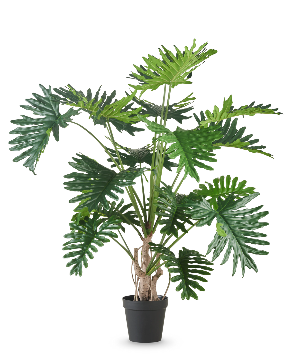 Die Kunstpflanze Philodendron 180 cm hat große, glänzende, tief gelappte grüne Blätter und ist vor einem schlichten weißen Hintergrund abgebildet.
