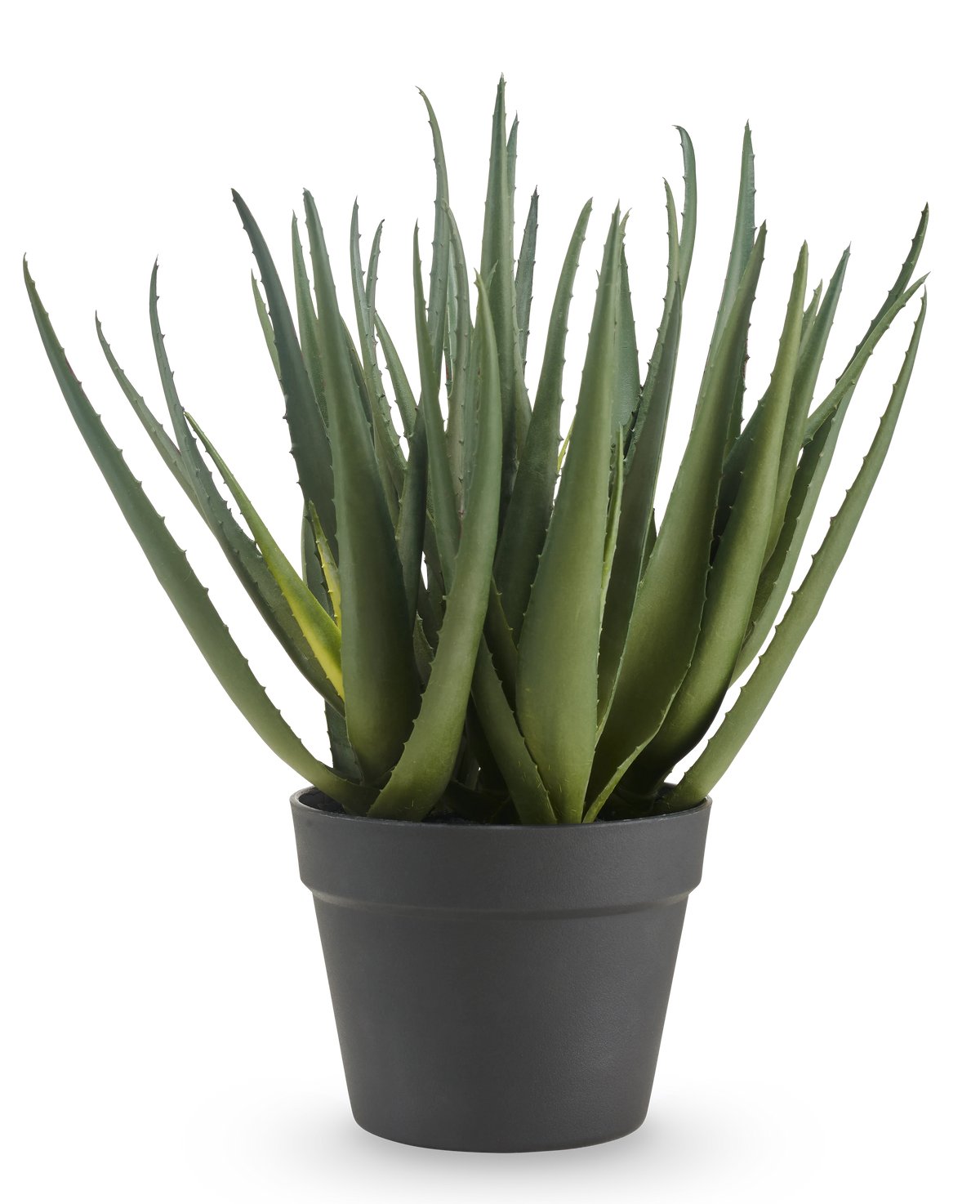 Die künstliche Aloe-Pflanze 46 cm hat lange, spitze grüne Blätter und wird in einem schlichten dunkelgrauen Topf vor einem schlichten weißen Hintergrund geliefert.