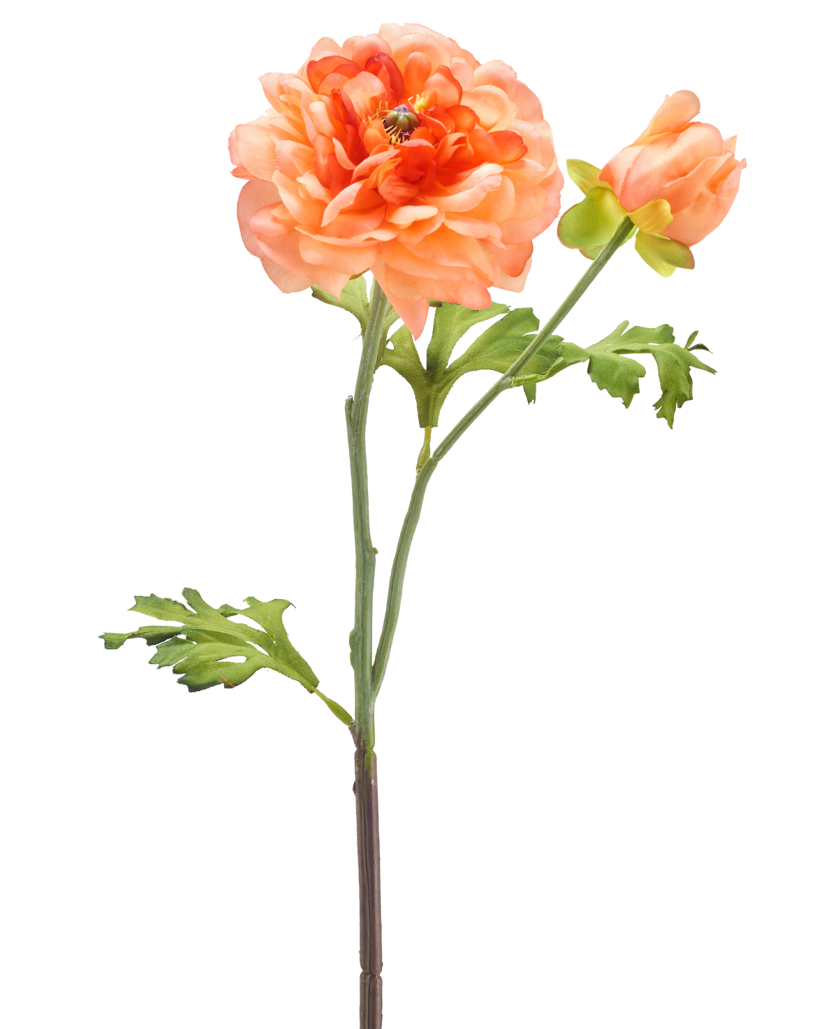 Ein einzelner Stiel der Kunstblume Ranunculus 51 cm hellrosa mit einer großen hellrosa Blüte in voller Blüte, einer kleineren Knospe und grünen Blättern vor einem weißen Hintergrund.
