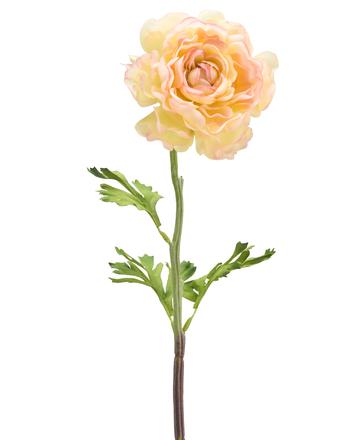 Eine künstliche Ranunkelblume, 51 cm, hellweiß: eine einzelne blasse künstliche Ranunkelblume mit hellweißen Blütenblättern, grünen Blättern und einem langen Stiel vor einem weißen Hintergrund.