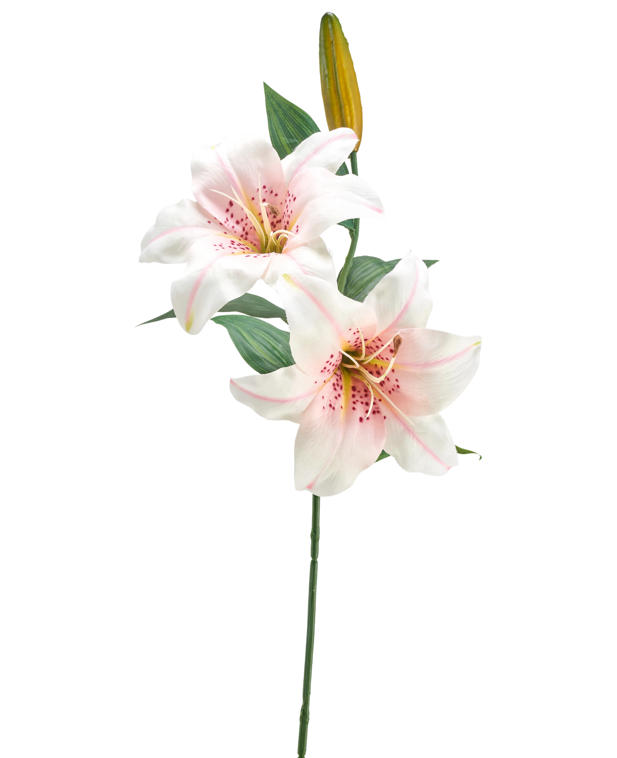 Die künstliche Blumenlilie 66 cm weiß/rosa hat einen einzelnen Stiel mit zwei offenen weißen und rosa Lilien, einer geschlossenen gelben Knospe und grünen Blättern vor einem schlichten weißen Hintergrund.