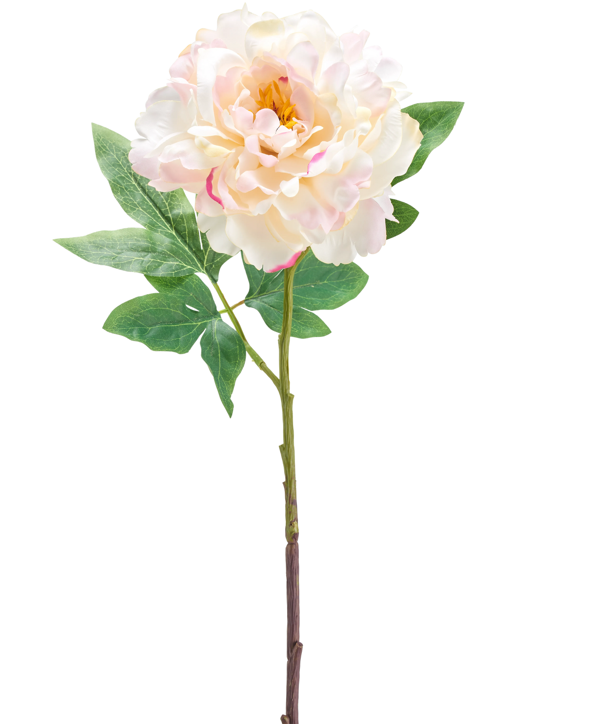 Die künstliche Pfingstrose 61 cm creme ist eine einzelne künstliche hellrosa und cremefarbene Pfingstrose mit grünen Blättern und einem langen Stiel, abgebildet vor einem weißen Hintergrund.