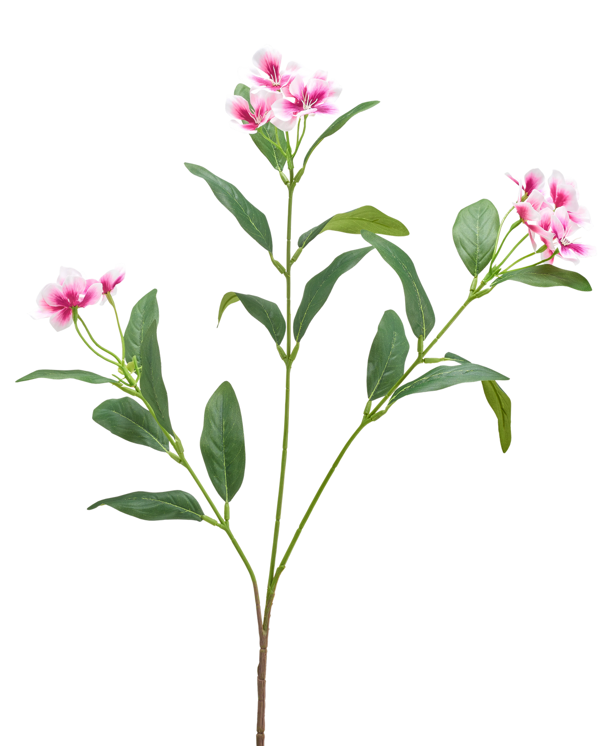Vor einem schlichten weißen Hintergrund ist eine künstliche Catharanthus-Blume (68 cm) in Fuchsia/Creme mit langen, schlanken grünen Blättern und Büscheln fünfblättriger Blüten zu sehen.