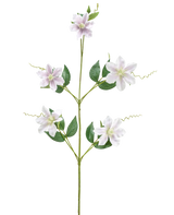 Die Kunstblume Celematis 78 cm weiß hat einen einzelnen grünen Stiel mit fünf weißen sternförmigen Blüten, mehreren grünen Blättern, die symmetrisch angeordnet sind, und gekräuselten Ranken. Der Hintergrund ist schlicht weiß.