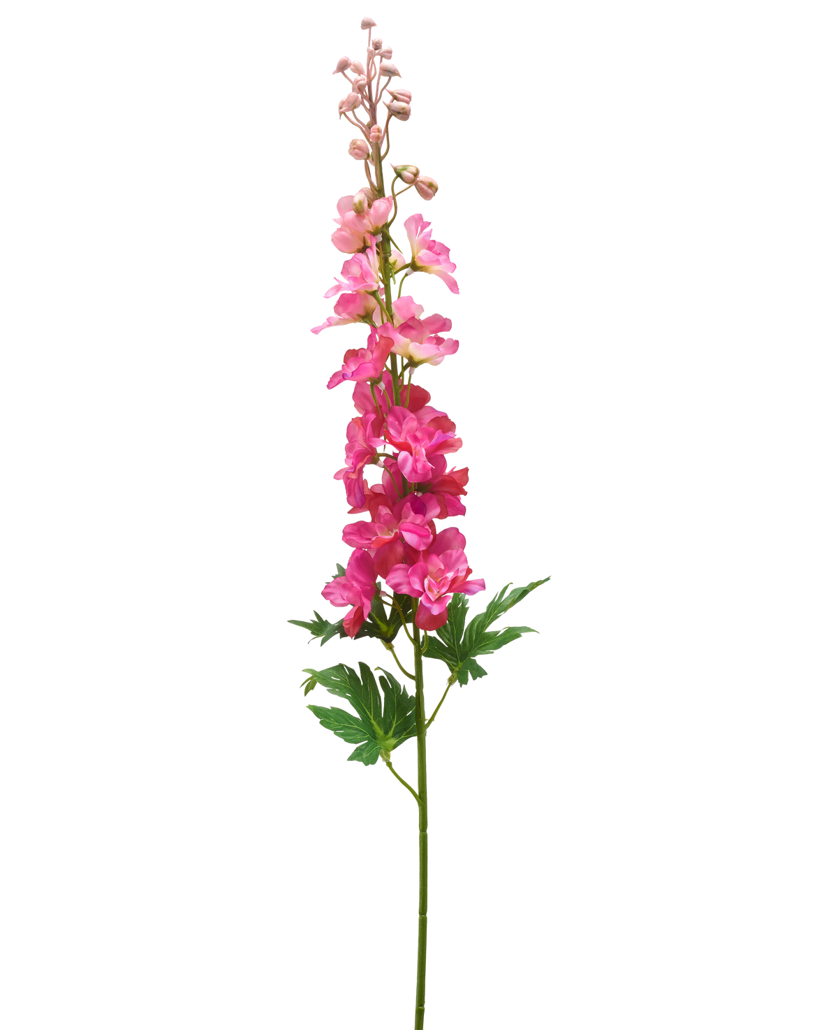 Ein einzelner Stiel der künstlichen Blume Delphinium 79 cm in Fuchsia mit lebendigen, geschichteten Blüten, grünen Blättern und ungeöffneten Knospen vor einem weißen Hintergrund.