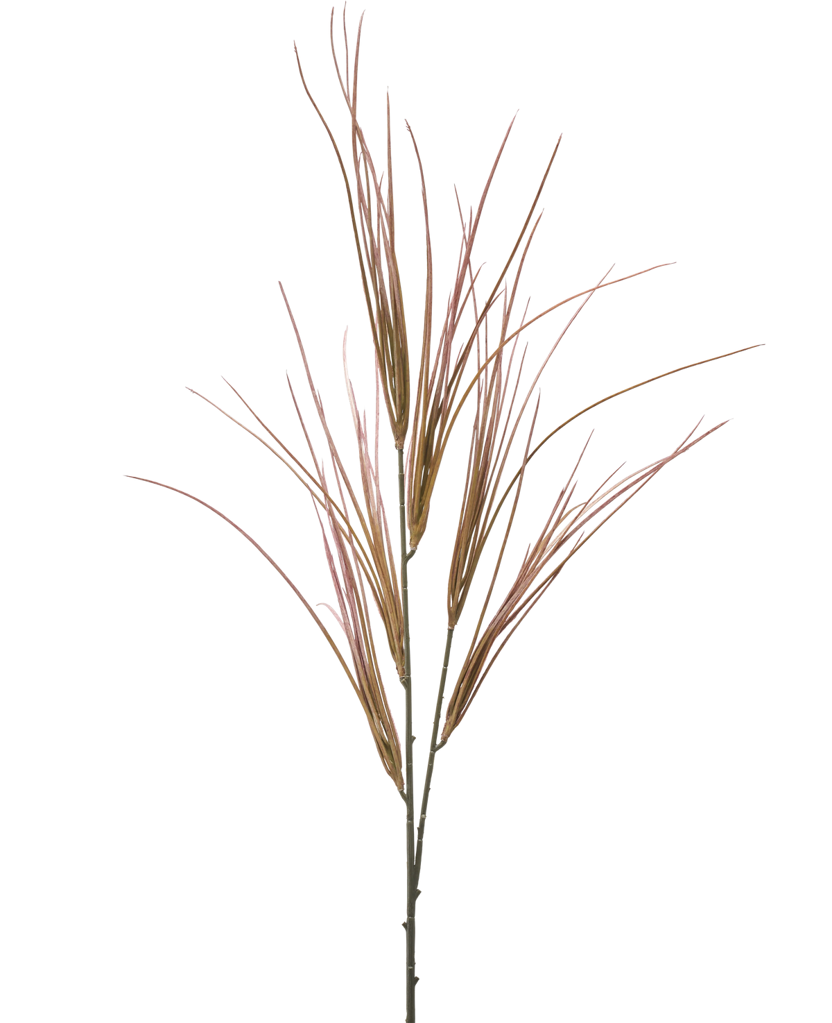 Der künstliche Zweig 104 cm lila hat einen einzelnen, hohen Stiel mit mehreren langen, dünnen, malvenfarbenen und grünen, grasähnlichen Blättern, die sich einzeln auf einem schlichten weißen Hintergrund ausbreiten.