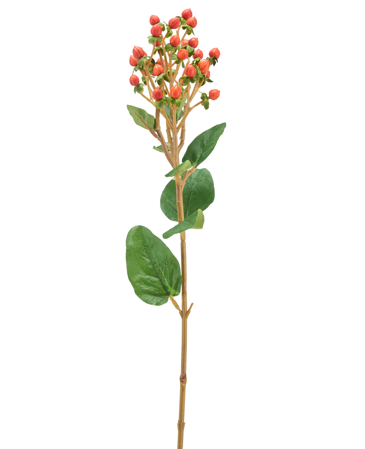Eine einzelne künstliche Hypericum-Blume von 65 cm mit Büscheln kleiner orange/roter Beeren und grünen Blättern vor einem hellen Hintergrund.