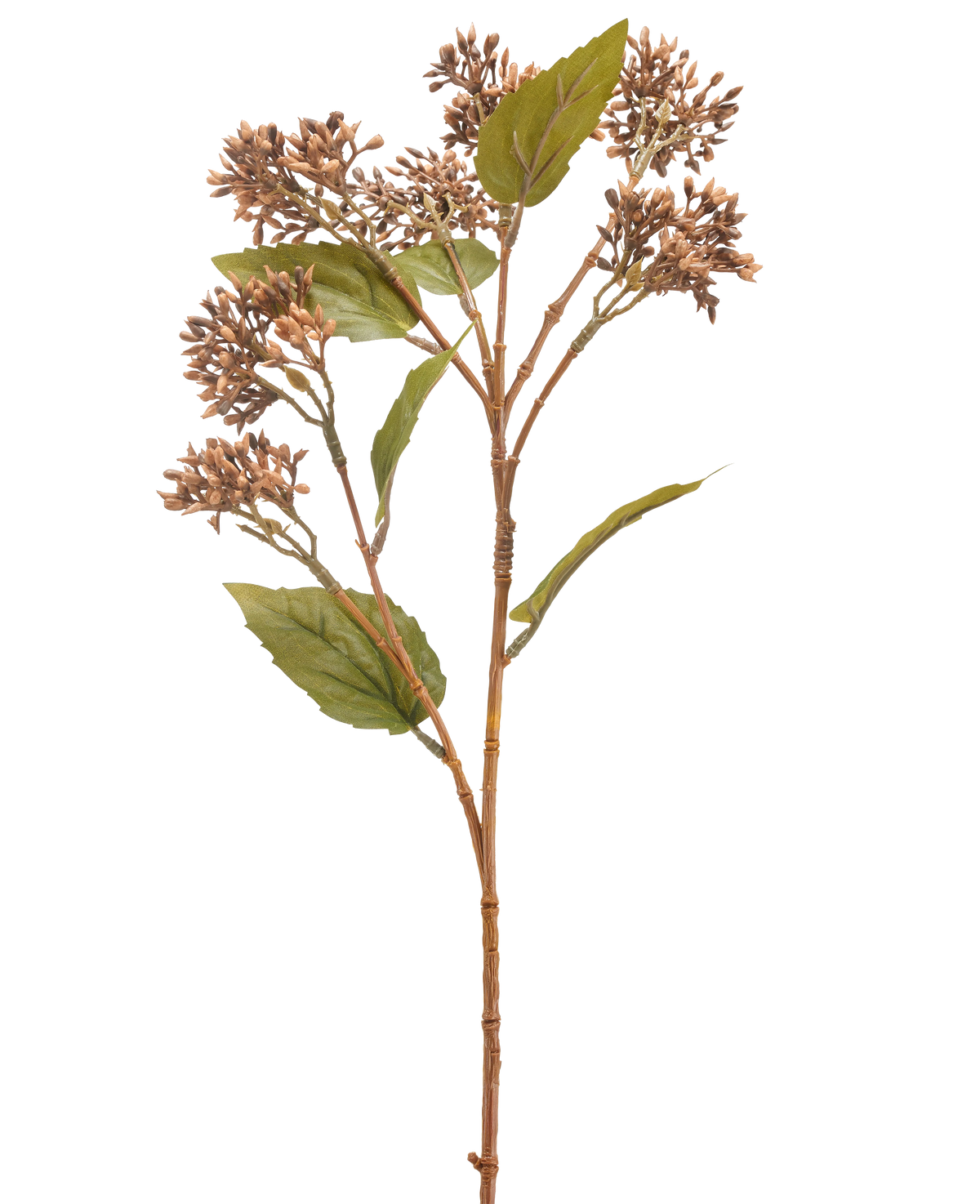 Die Kunstblume Sedum 67 cm braun hat einen einzelnen braun-grünen Kunstpflanzenstiel mit Büscheln kleiner brauner Knospen und mehreren grünen Blättern, isoliert auf weißem Hintergrund.