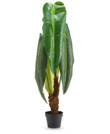 Eine hohe Kunstpflanze Anthurium von 120 cm mit großen, glänzend grünen Blättern und einem braunen Stiel mit Struktur, präsentiert in einem kleinen schwarzen Topf vor weißem Hintergrund.