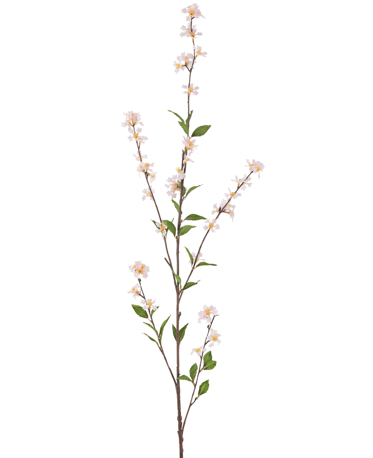 Die Kunstblume Flowers 119 cm in Blush ist ein hoher, schlanker Kunstzweig mit zarten weißen Blüten und grünen Blättern über die gesamte Länge, vor einem schlichten weißen Hintergrund.