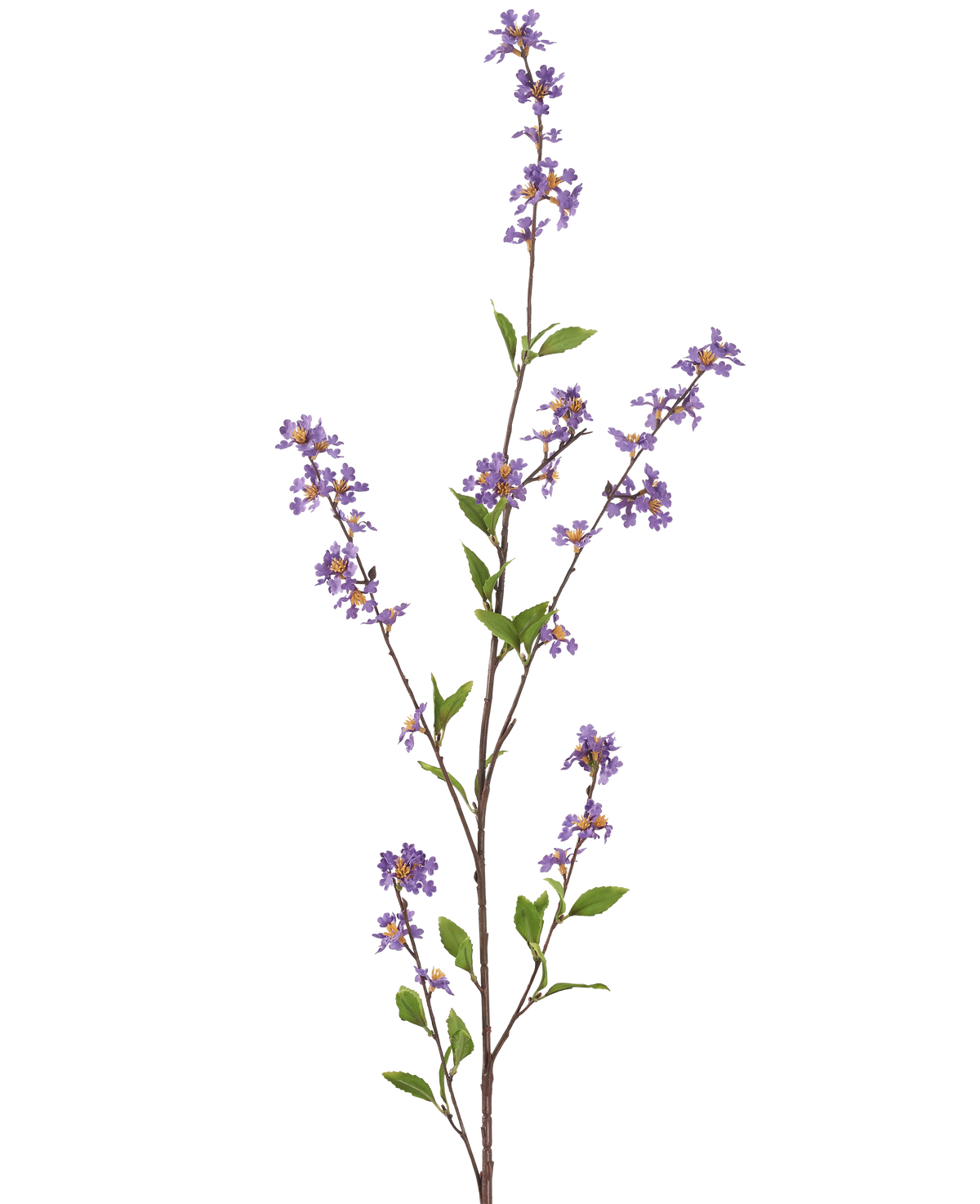 Die künstlichen Blumen 119 cm lila haben einen hohen, schlanken Zweig mit Büscheln kleiner lila Blüten und grünen Blättern, perfekt, um jeden Raum aufzuhellen.