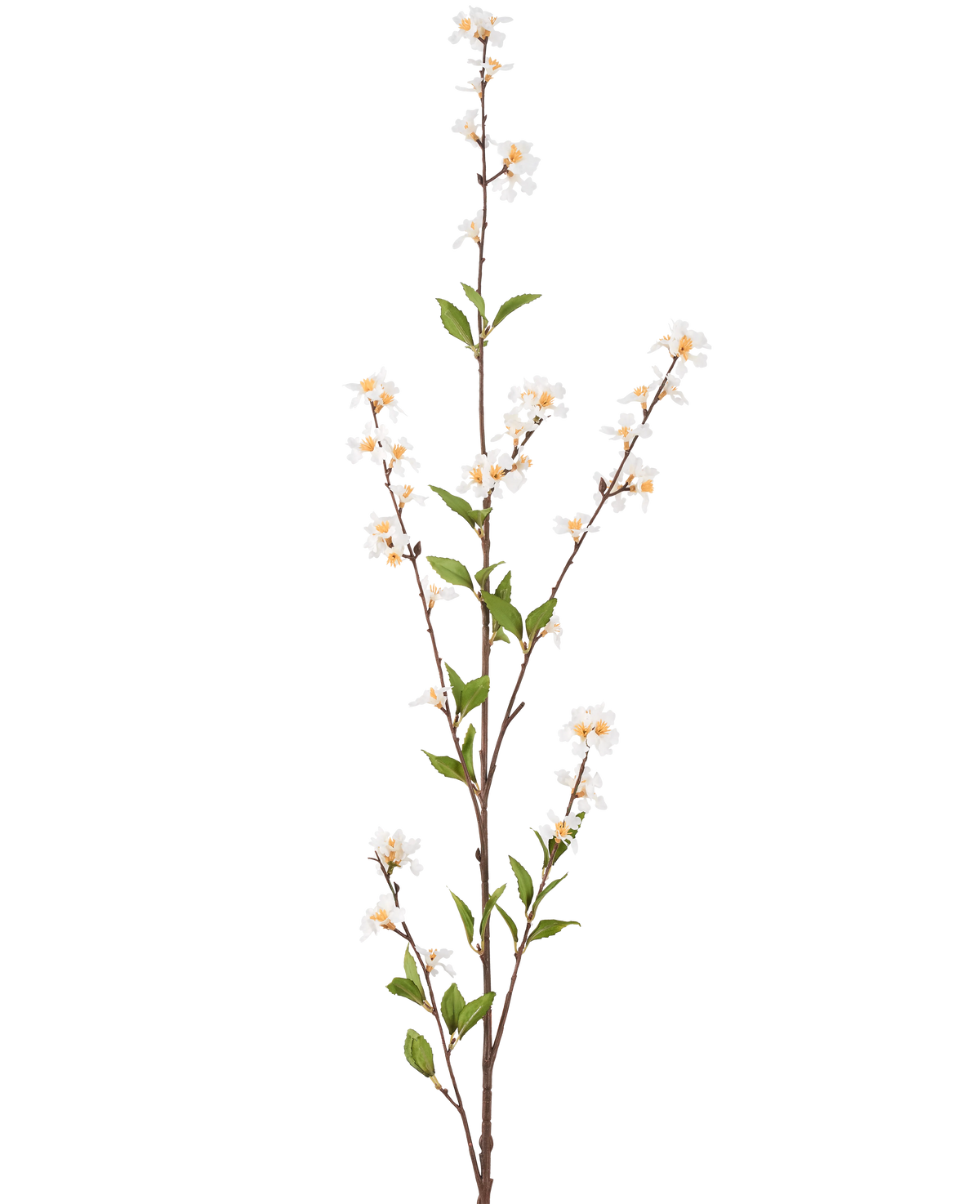 Die cremefarbenen Kunstblumen 119 cm haben einen einzelnen hohen Zweig mit cremefarbenen Blüten und grünen Blättern entlang der schlanken braunen Stiele vor einem schlichten weißen Hintergrund.