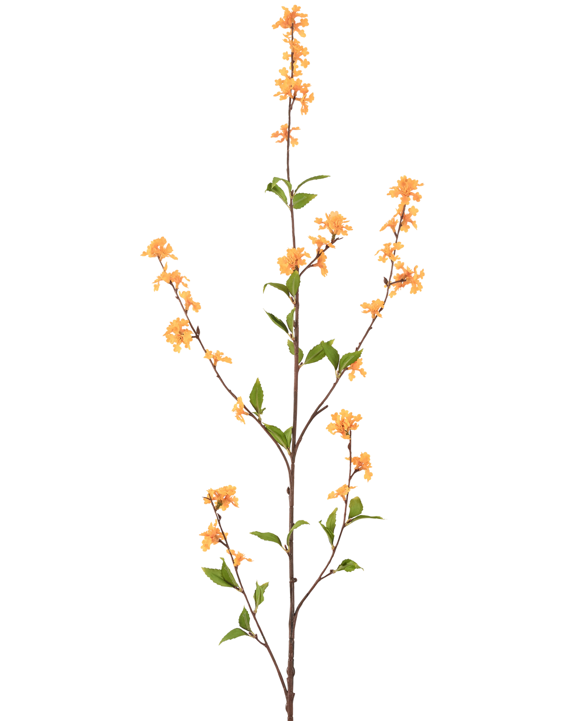 Eine hohe, schlanke Kunstblume, 119 cm, gelb, mit mehreren Zweigen mit Büscheln kleiner gelber Blüten und grünen Blättern, isoliert auf weißem Hintergrund.