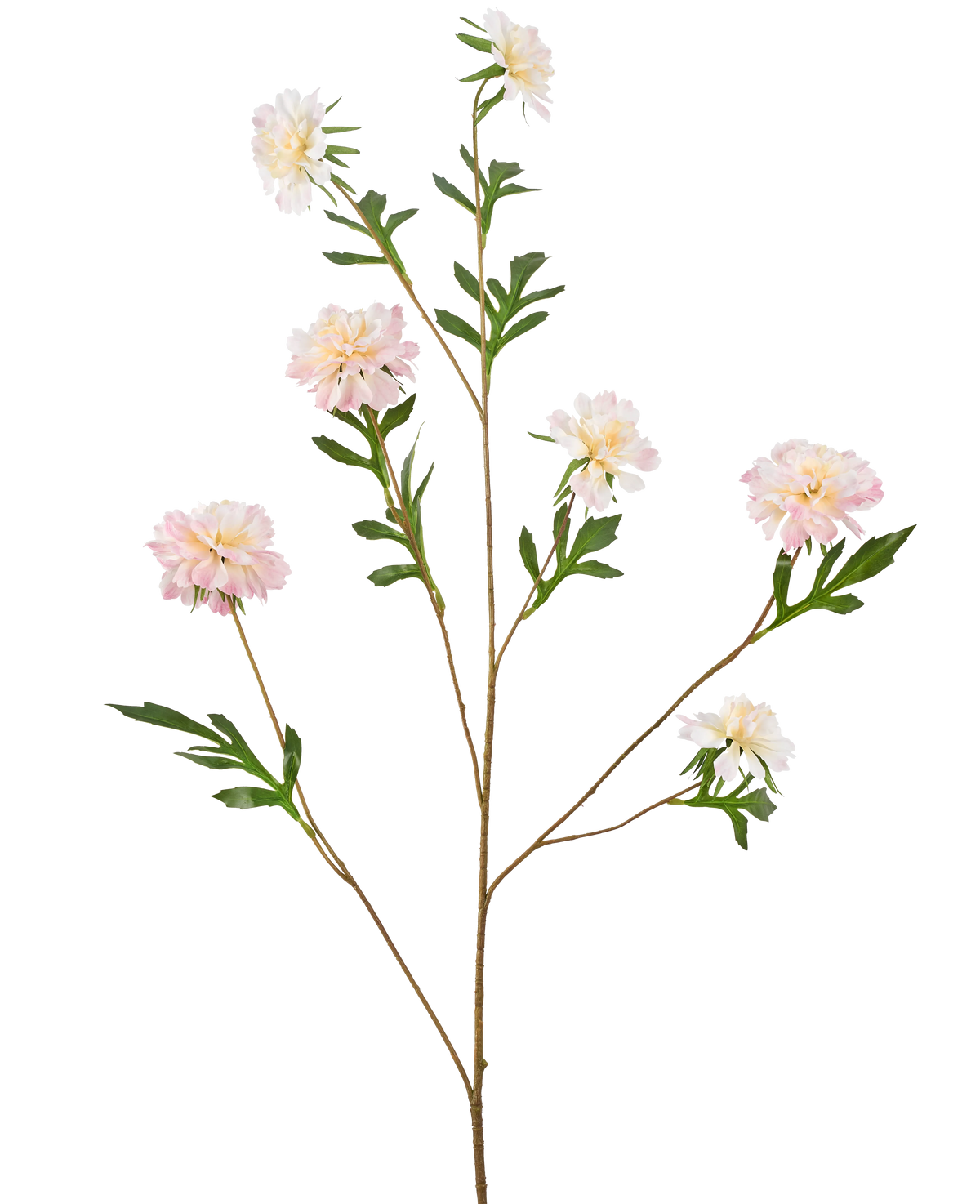 Die Kunstblume Kornblume 112 cm hellrosa hat einen langen, dünnen Stiel mit mehreren Zweigen, jeweils mit hellrosa pfingstrosenähnlichen Blüten und grünen Blättern, vor einem schlichten weißen Hintergrund.