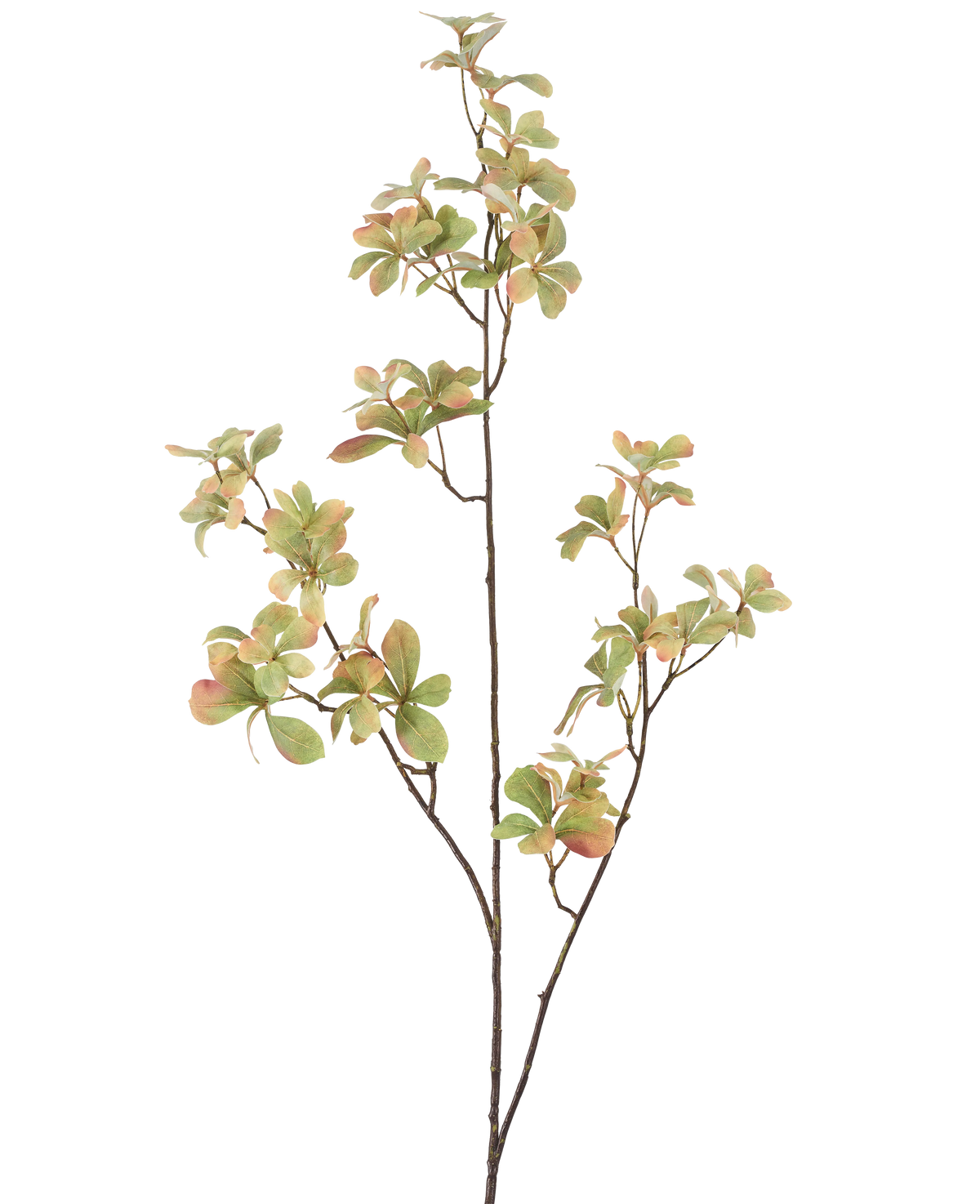Der künstliche Blumenzweig 112 cm grün hat einen schlanken, verzweigten Stiel mit Büscheln grüner Blätter in hellrosa und cremefarben vor einem schlichten weißen Hintergrund.