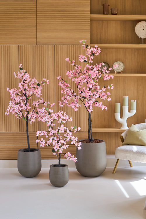 Drei künstliche Bougainvilleen von 180 cm, rosa Farbe und mit rosa Blüten, stehen vor hölzernen Wandregalen, neben einem modernen weißen Stuhl mit Kissen.