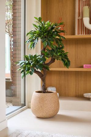Eine künstliche Ficus-Crazy-Pflanze mit einer Größe von 120 cm und üppigen grünen Blättern wird im Innenbereich in der Nähe eines Fensters neben Holzregalen mit Dekorationsgegenständen und bunten Ziertöpfen aufgestellt. In der Mitte dieses Arrangements verleiht diese einzigartige farbige Pflanze der gemütlichen Atmosphäre einen zusätzlichen Hauch von Charme.