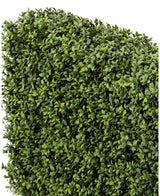 Eine Nahaufnahme der künstlichen Buchsbaumhecke UV 100 x 20 x 50 cm Heckenpaneele mit dicht gepackten kleinen grünen Blättern vor einem weißen Hintergrund.