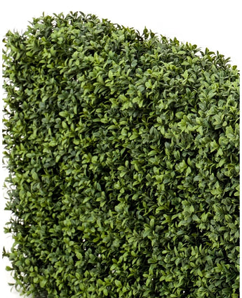 Eine Nahaufnahme der künstlichen Buchsbaumhecke UV 100 x 20 x 50 cm Heckenpaneele mit dicht gepackten kleinen grünen Blättern vor einem weißen Hintergrund.