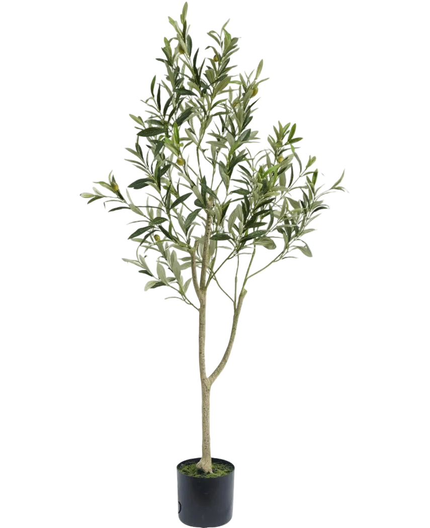 Der künstliche Olivenbaum 120 cm hat schlanke Zweige und grüne Blätter in einem schlichten schwarzen Topf, ideal als Dekoelement für eine mediterrane Atmosphäre auf weißem Hintergrund.