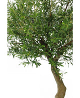 Eine Nahaufnahme des künstlichen Olivenbaums 270 cm ohne Oliven, mit einem schlanken braunen Stamm und dichten grünen Blättern in dekorativen Töpfen vor einem schlichten weißen Hintergrund.