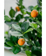 Nahaufnahme des künstlichen Orangenbaums 120 cm mit leuchtend grünen Blättern und kleinen orangefarbenen Früchten. Der sanft verblasste Hintergrund betont die lebensechten Farben dieser dekorativen Kunstpflanze.