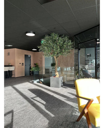 Ein moderner Büroraum mit grauem Teppich, einem gelben Stuhl, dem künstlichen Olivenbaum mit Oliven (270 cm) neben den Glaswänden, die im Sonnenlicht Schatten werfen, und im Hintergrund eine Theke mit Barhockern.