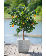 Ein 120 cm großer künstlicher Orangenbaum mit reifen Früchten steht in einem weiß geprägten Topf auf einer Holzterrasse mit Blick auf ein dunstiges Wasserspiel und eine grüne Landschaft draußen.