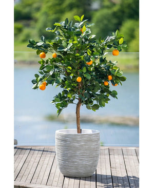 Ein 120 cm großer künstlicher Orangenbaum mit reifen Früchten steht in einem weiß geprägten Topf auf einer Holzterrasse mit Blick auf ein dunstiges Wasserspiel und eine grüne Landschaft draußen.