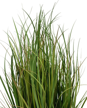 Kunstrasenbüschel aus langem, schlankem Grün Kunstrasen Dogtail-Zwiebelgras Kleie 80 cm, feuerhemmend.