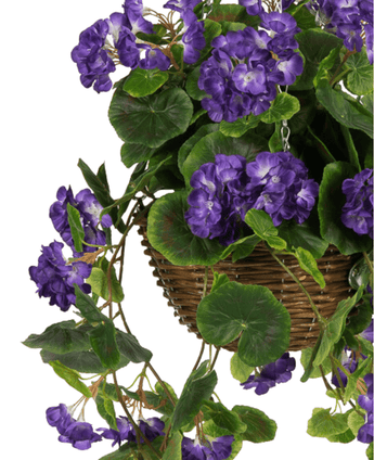 Die künstliche Begonie Lila im UV-Korb 70 cm verfügt über leuchtend violette künstliche Begonienblüten und üppige grüne Blätter, die elegant aus einem braunen geflochtenen Korb fallen und für eine realistische, auffällige Präsentation sorgen.