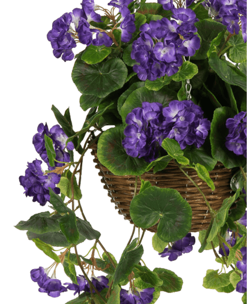 Die künstliche Begonie Lila im UV-Korb 70 cm verfügt über leuchtend violette künstliche Begonienblüten und üppige grüne Blätter, die elegant aus einem braunen geflochtenen Korb fallen und für eine realistische, auffällige Präsentation sorgen.