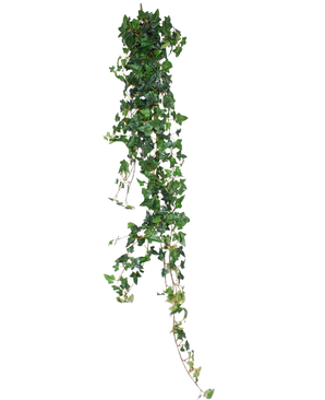 Die künstliche Hängepflanze Ivy Boston 180 cm grün hat lange, herabhängende herzförmige Blätter in Grün, die sich schön von einem weißen Hintergrund abheben.