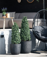 Zwei künstliche Buchsbaumpyramiden UV 120 cm werden auf einer Holzterrasse vor einem Sitzbereich im Freien mit einem hellen Sofa, einem runden Tisch mit Lavendel und einem schwarzen Hängesessel platziert.