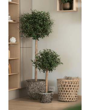 Zwei pflegeleichte künstliche Olivenbäume UV 85 cm mit schlanken Stämmen stehen nebeneinander auf einem Holzboden neben einem geflochtenen Korb und Holzplanken in einem modernen, minimalistischen Interieur.