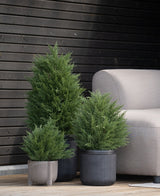 Auf einer Holzterrasse neben einer hellgrauen Außenbank und einer dunklen Holzwand stehen drei künstliche Pflanzen Conifer deluxe UV 60 cm – perfekt für die Gestaltung eines grünen Gartens mit pflegeleichten Kunstpflanzen im Freien.