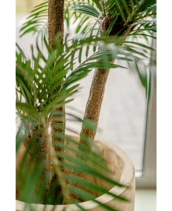 Nahaufnahme einer künstlichen Cycas-Classic-Palme 135 cm mit schlanken Stämmen und üppig grünen Blättern, ausgestellt in einem eleganten dekorativen Topf in der Nähe eines Fensters mit sanftem natürlichem Licht.