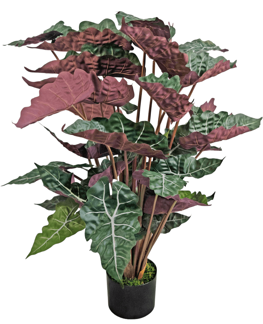 Die Kunstpflanze Alocasia 100 cm grün/rot hat große, dunkelgrüne Blätter mit markanten weißen Adern und rotvioletten Unterseiten, präsentiert in einem schwarzen Topf.