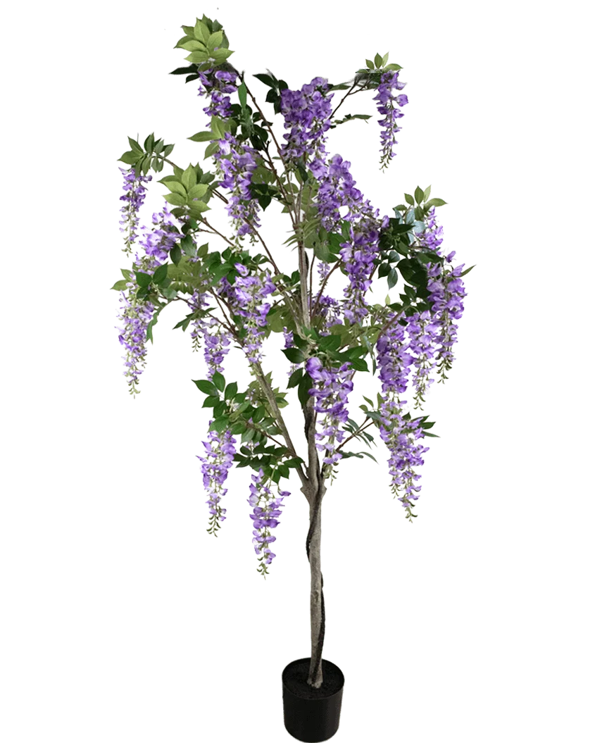 Die künstliche Glyzinienpflanze 210 cm ist eine künstliche Glyzinie in einem Topf mit grünen Blättern und violetten Blütenbüscheln vor einem schlichten weißen Hintergrund.