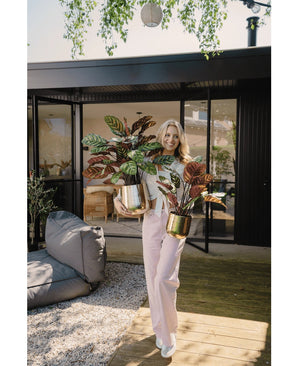 Eine Frau steht auf einer Holzterrasse vor einem modernen Haus, lächelt und hält zwei künstliche Calathea Makoyana UV 75 cm rote Topfpflanzen. Sie trägt eine hellrosa Hose und ein weißes Top. Sitzgelegenheiten im Freien und Grün im Hintergrund.