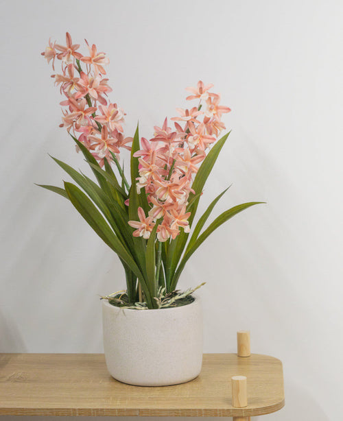 Die künstliche Cymbidium-Rosapflanze (58 cm), eine grüne Pflanze mit langen Blättern und langen Stielen mit hellrosa Blüten in einem weißen Keramiktopf, steht auf einem hellen Holztisch vor einer schlichten weißen Wand.