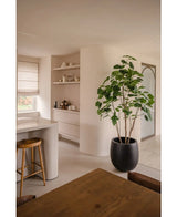 Ein moderner, minimalistischer Küchen- und Essbereich in neutralen Tönen verfügt über offene Regale, eine geschwungene Insel mit Holzhocker, ein Essset aus Holz und die Kunstpflanze Ficus 210 cm als stilvolle Topfpflanze. Natürliches Licht erhellt den Raum.