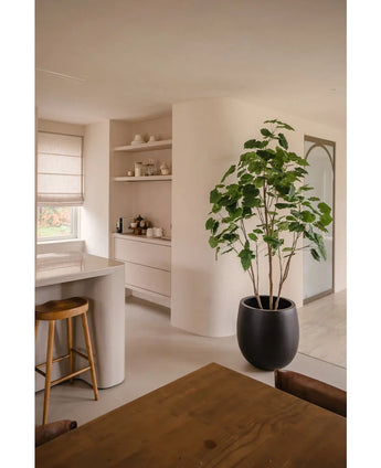 Ein moderner, minimalistischer Küchen- und Essbereich in neutralen Tönen verfügt über offene Regale, eine geschwungene Insel mit Holzhocker, ein Essset aus Holz und die Kunstpflanze Ficus 210 cm als stilvolle Topfpflanze. Natürliches Licht erhellt den Raum.