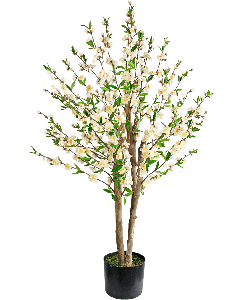 Die künstliche Kirschblütenpflanze 120 cm creme ist ein künstlicher Kirschblütenbaum in einem Topf mit mehreren braunen Stämmen, grünen Blättern und Büscheln kleiner weißer Blüten vor einem schlichten weißen Hintergrund.