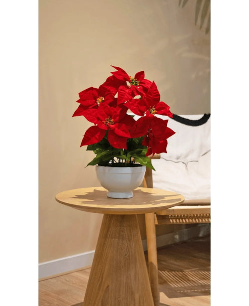 Der Kunstpflanzen-Weihnachtsstern 44 cm rot mit leuchtend roten Blüten in einem weißen Topf steht auf einem runden Beistelltisch aus Holz neben einem beigen Akzentstuhl in einem gemütlichen, sanft beleuchteten Raum.
