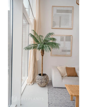 Die Kunstpflanze Phönixpalme De Luxe 180 cm in einem strukturierten Topf steht neben großen Fenstern in einem hellen Wohnzimmer mit neutraler Einrichtung, mit einem weißen Sofa, beigen Kissen, einem Holztisch und abstrakter Kunst an der Wand.